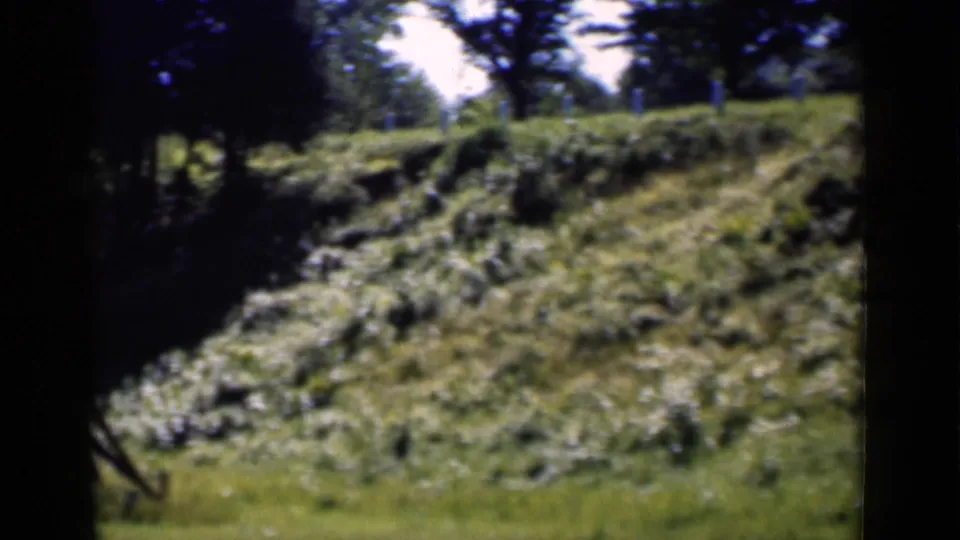 Soft 8mm frame from 1951 New York showing dense low shrubs, grass, and shaded trees around the lawn area.