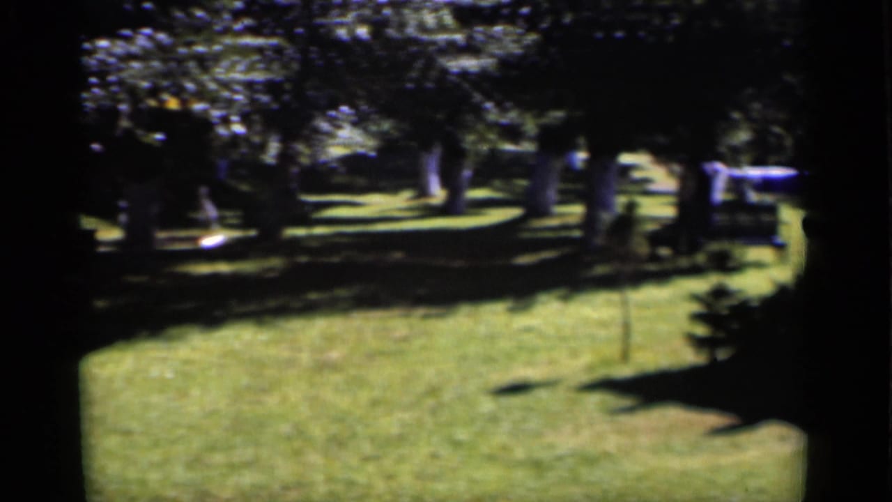 1951 New York home-movie view across a grassy yard with trees, shadows, bench seating, and a small structure or vehicle at the edge.