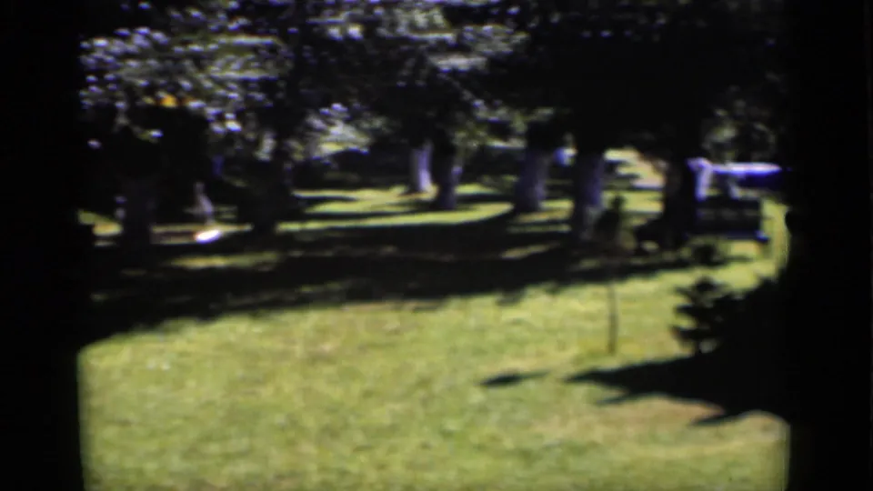 1951 New York home-movie view across a grassy yard with trees, shadows, bench seating, and a small structure or vehicle at the edge.
