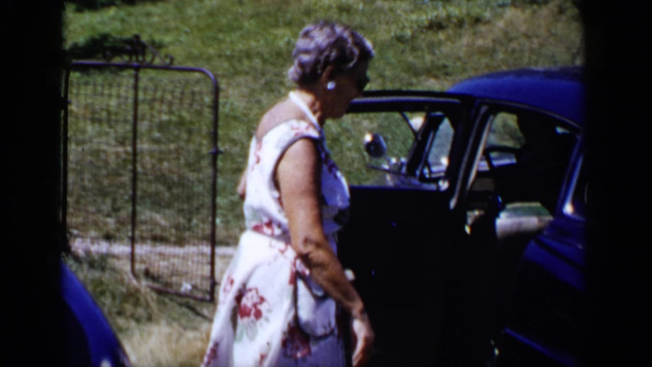 The woman turns toward the open door of a dark-blue car, with grass and a wire gate visible behind her.