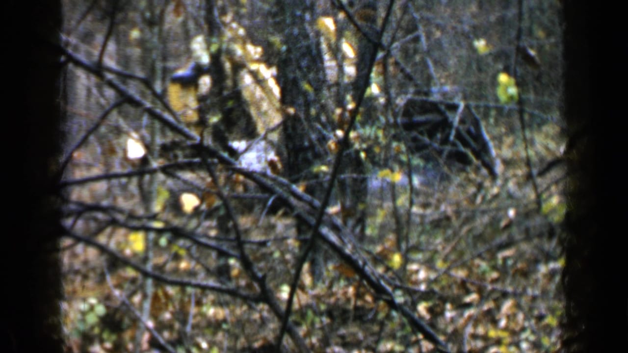 Yellow tracked construction vehicle partly hidden by trees in a wooded area.
