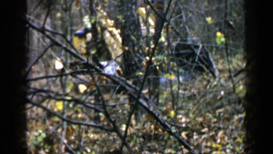 1957 Birmingham-area 8mm frame showing a yellow tracked construction vehicle moving through woods behind foreground branches.