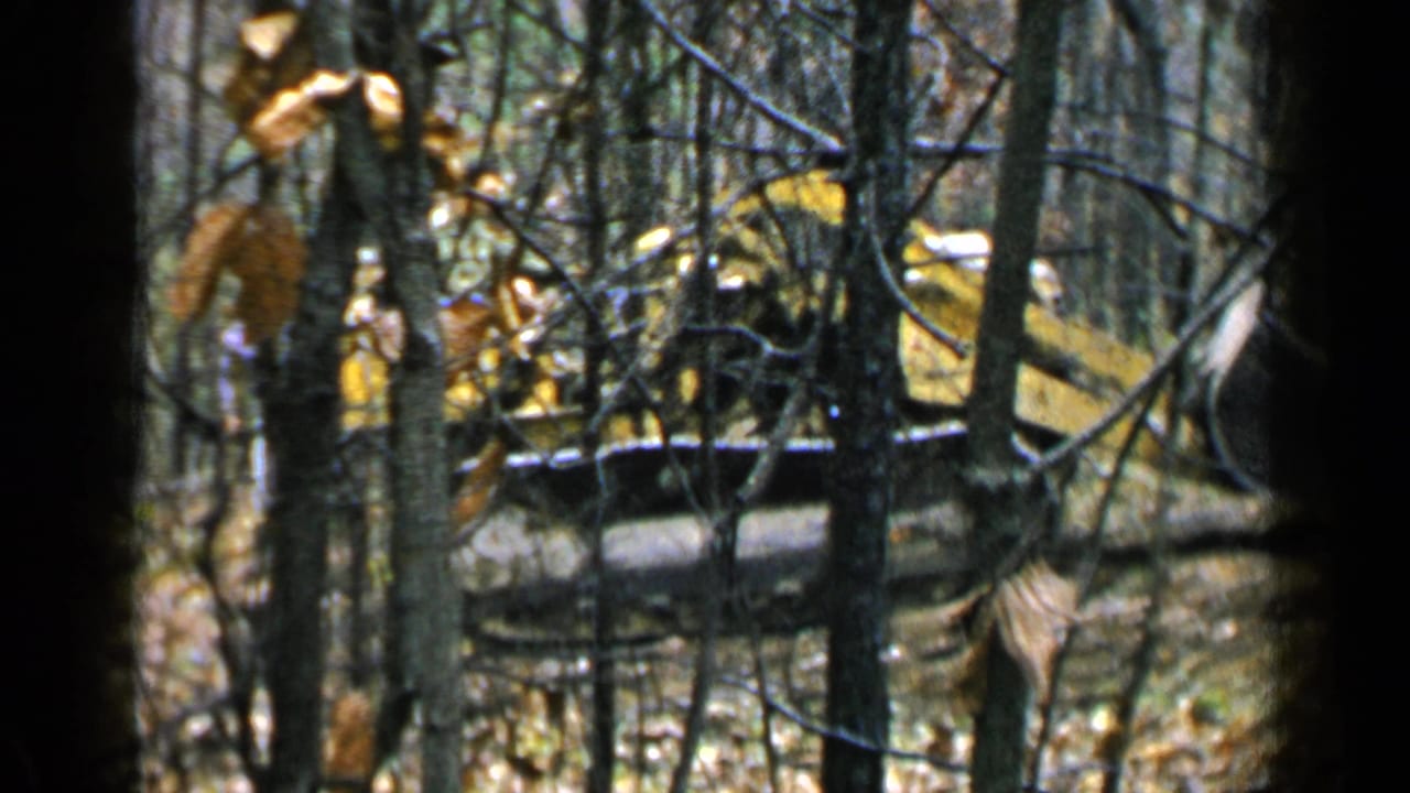 Yellow tracked excavator partly hidden behind trees in a wooded area.