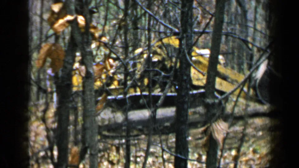 1957 Birmingham-area 8mm frame showing a yellow tracked excavator moving through trees and bare branches.