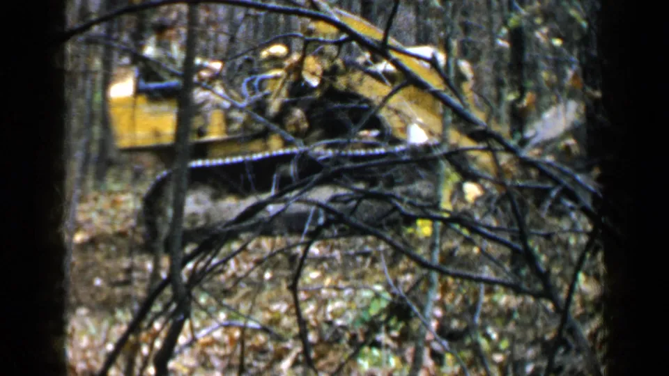1957 Birmingham home-movie frame showing a yellow tracked bulldozer partly hidden behind branches while clearing wooded land.