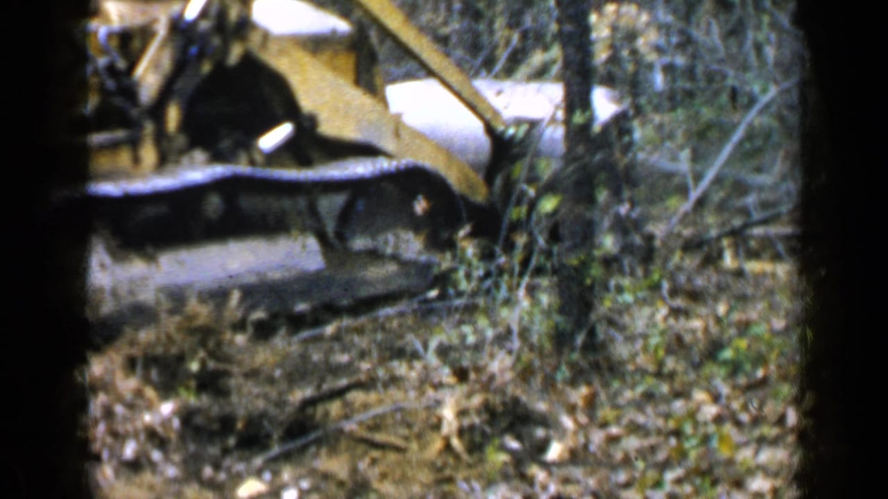 Bulldozer blade and tracks visible among trees and brush.