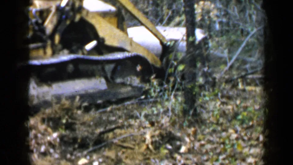 Yellow bulldozer blade and crawler tracks appear among trees and brush in the Birmingham land-clearing footage.