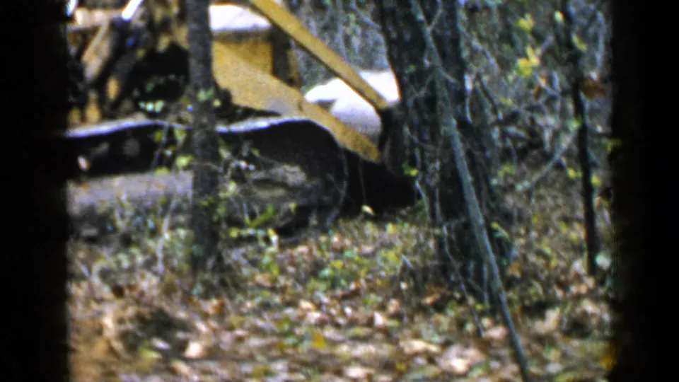 The yellow tracked bulldozer continues through dense brush and trees in the Birmingham home-movie land-clearing footage.