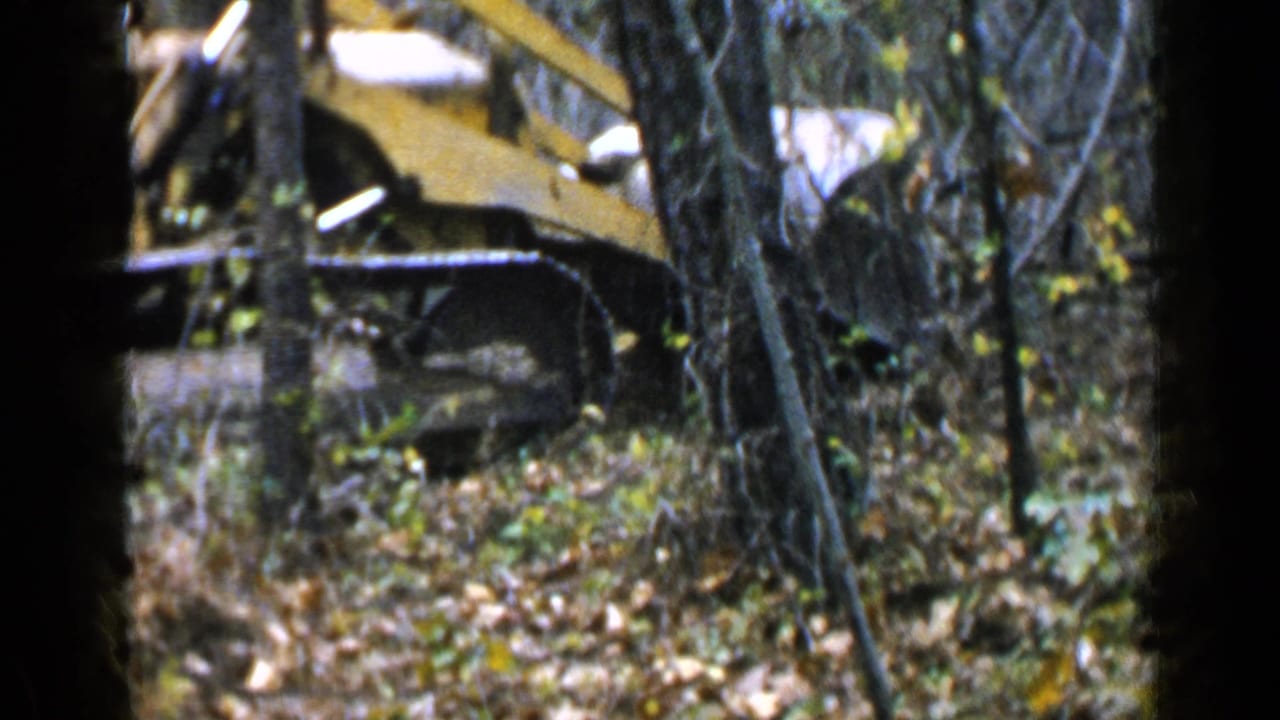 Yellow tracked bulldozer partly hidden by tree trunks in a wooded clearing.
