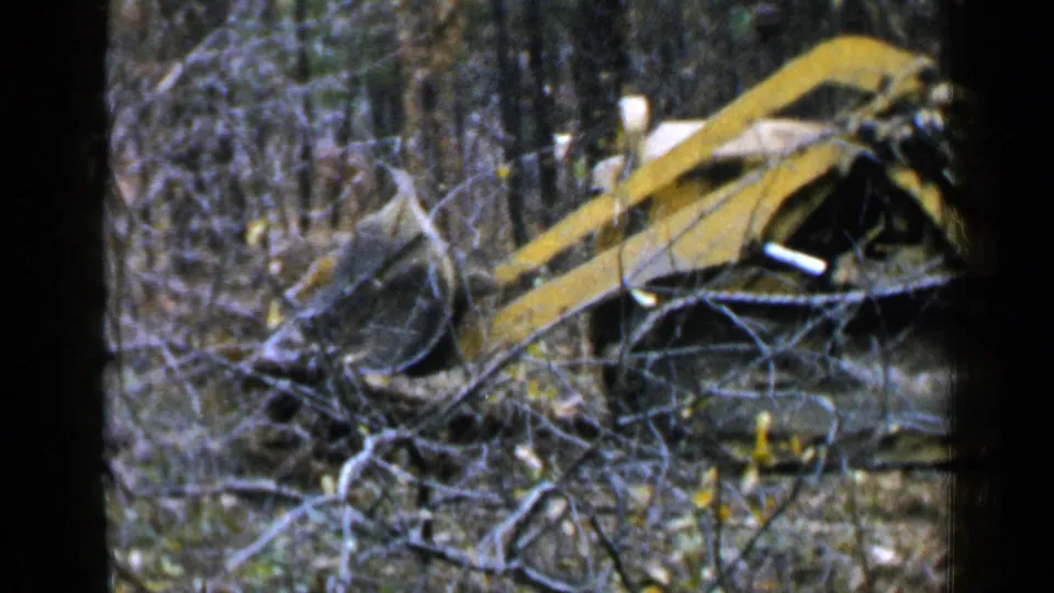 A yellow bulldozer continues clearing wooded land near Birmingham, seen through tangled branches and soft 8mm grain.