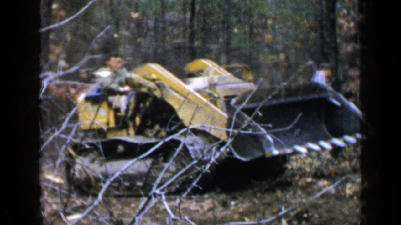 Yellow tracked front-end loader partly obscured by branches in a wooded area.
