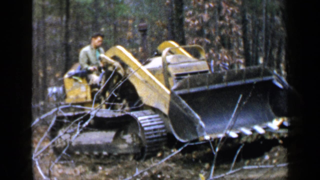Man operating a yellow tracked excavator among trees and fallen branches.