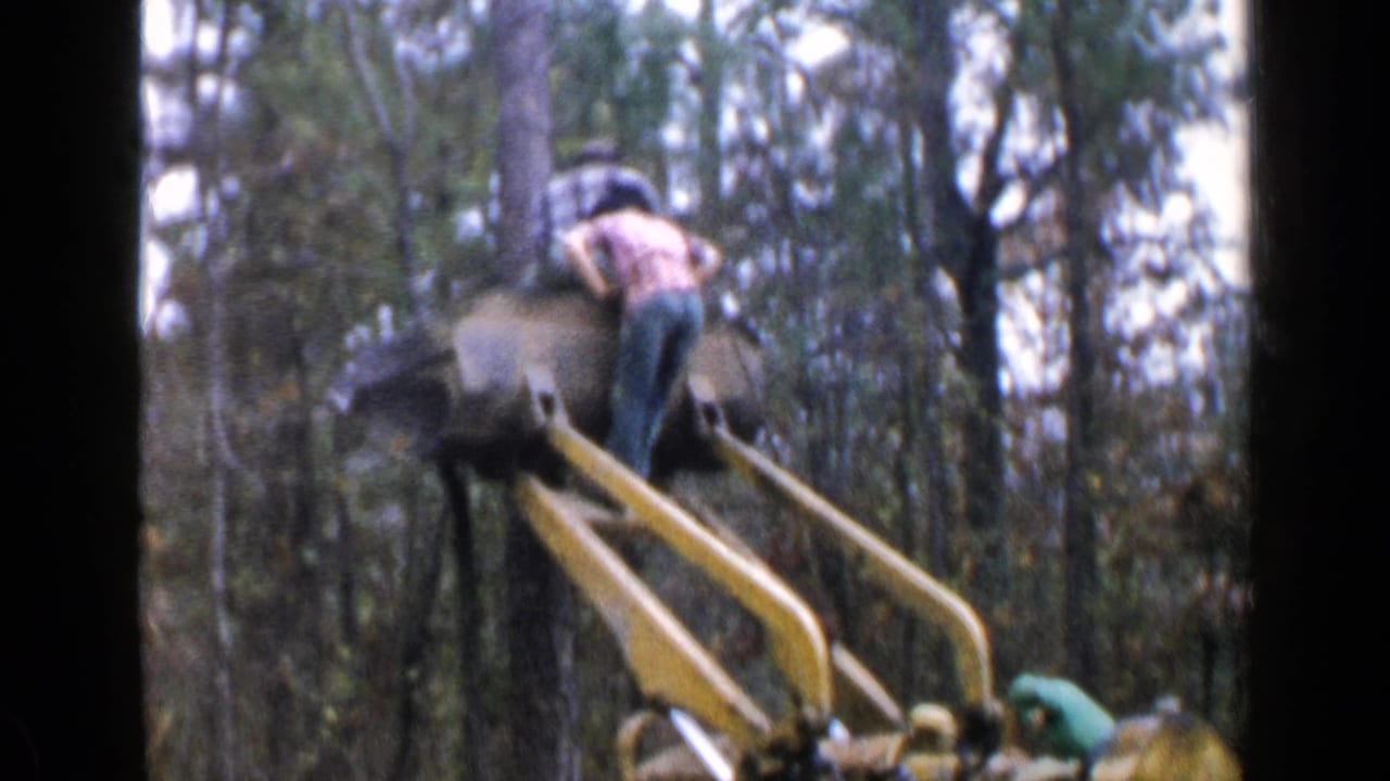 Man standing on yellow logging machinery in dense woods.