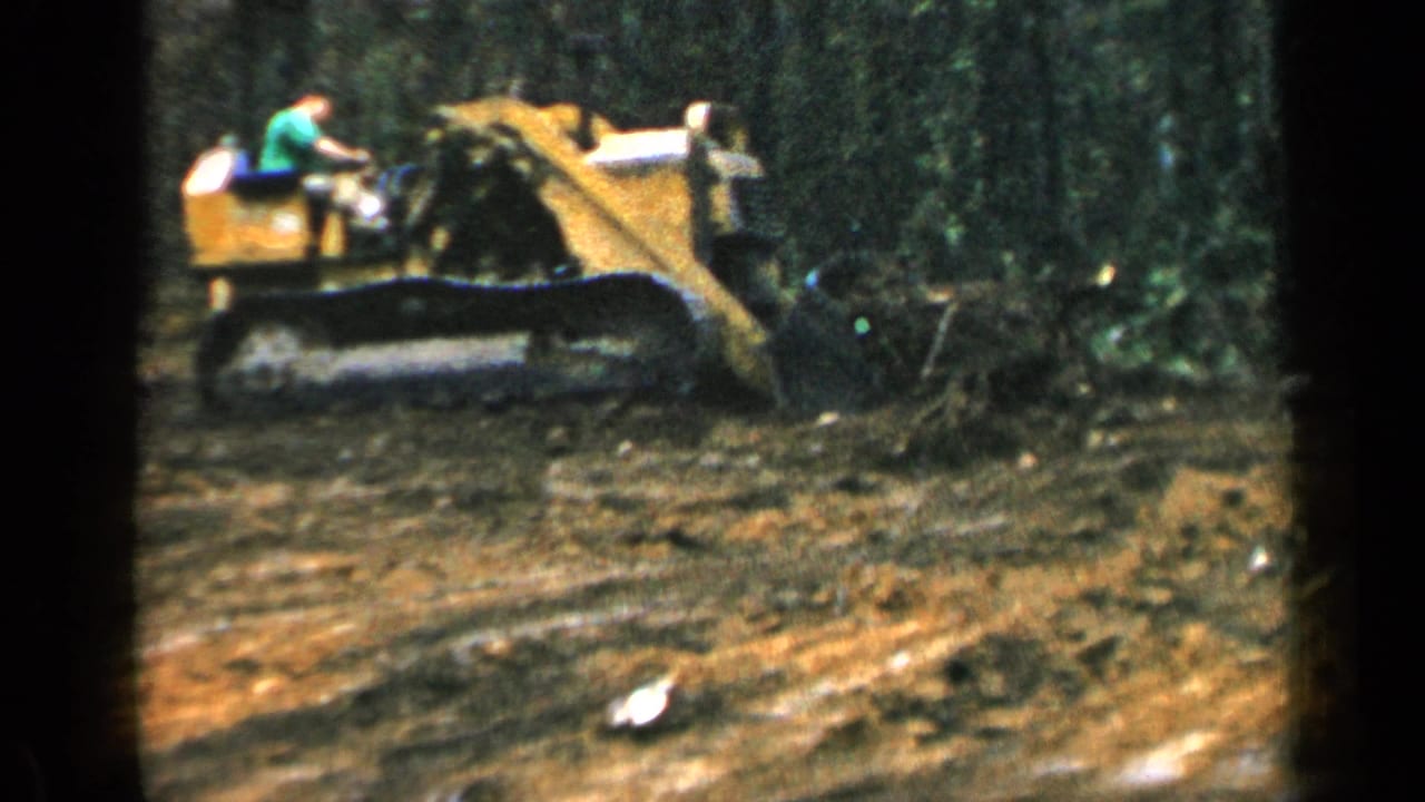 Bulldozer pushes brush and soil in front of dense trees while the operator sits above the tracks.