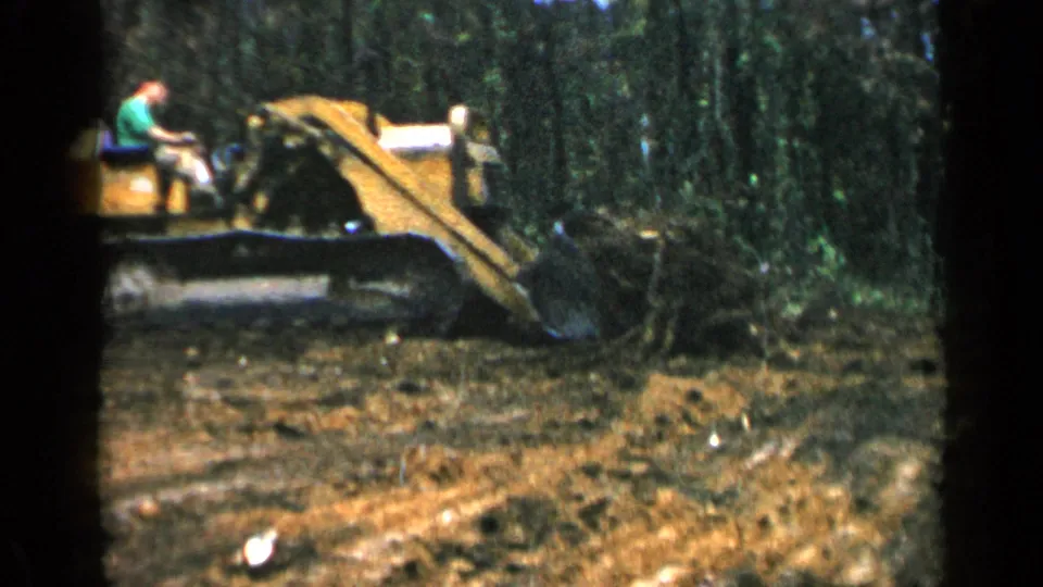 1957 Birmingham 8mm frame showing the bulldozer partly side-on as it works through a rough forest clearing.