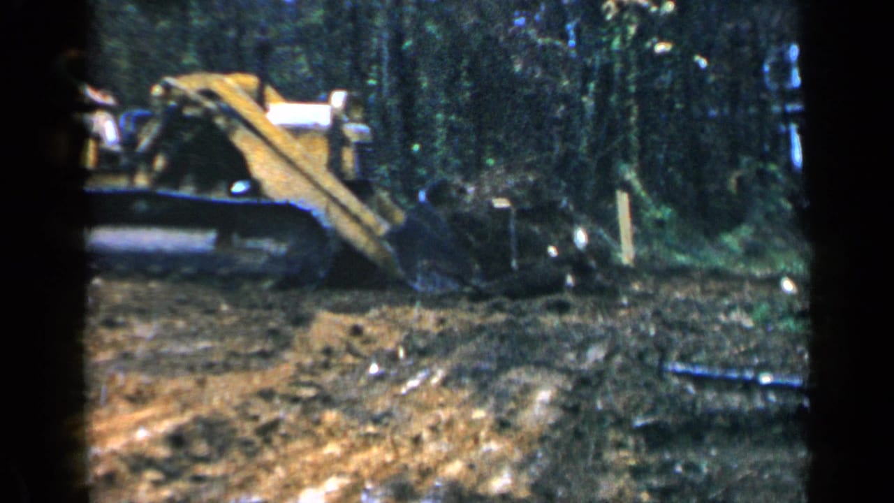 Yellow tracked bulldozer moving through a wooded dirt clearing.