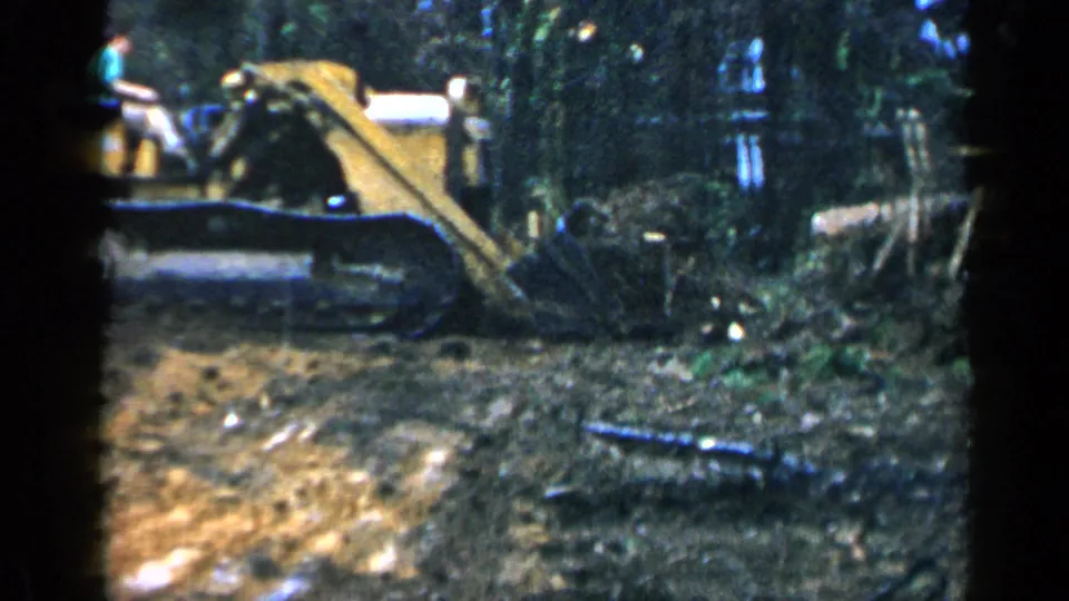 A yellow tracked bulldozer with an operator visible above the machine clears brush in a wooded Birmingham setting.