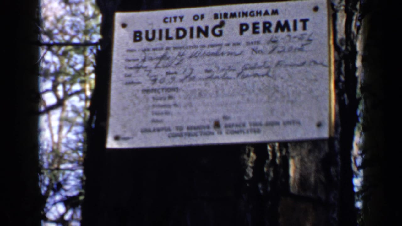 Building permit sign on a tree with dark trunks and bright woods behind it.