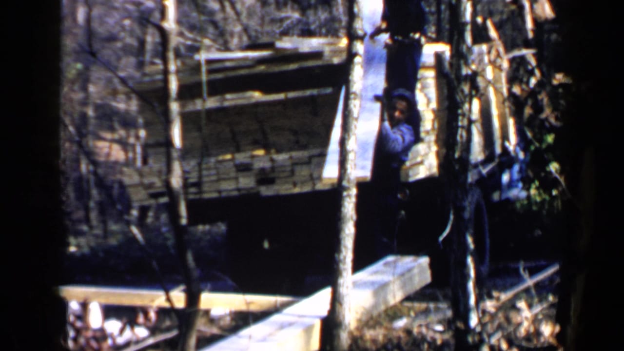 Man in a blue shirt stands near long wooden planks beside a truck in a wooded area.