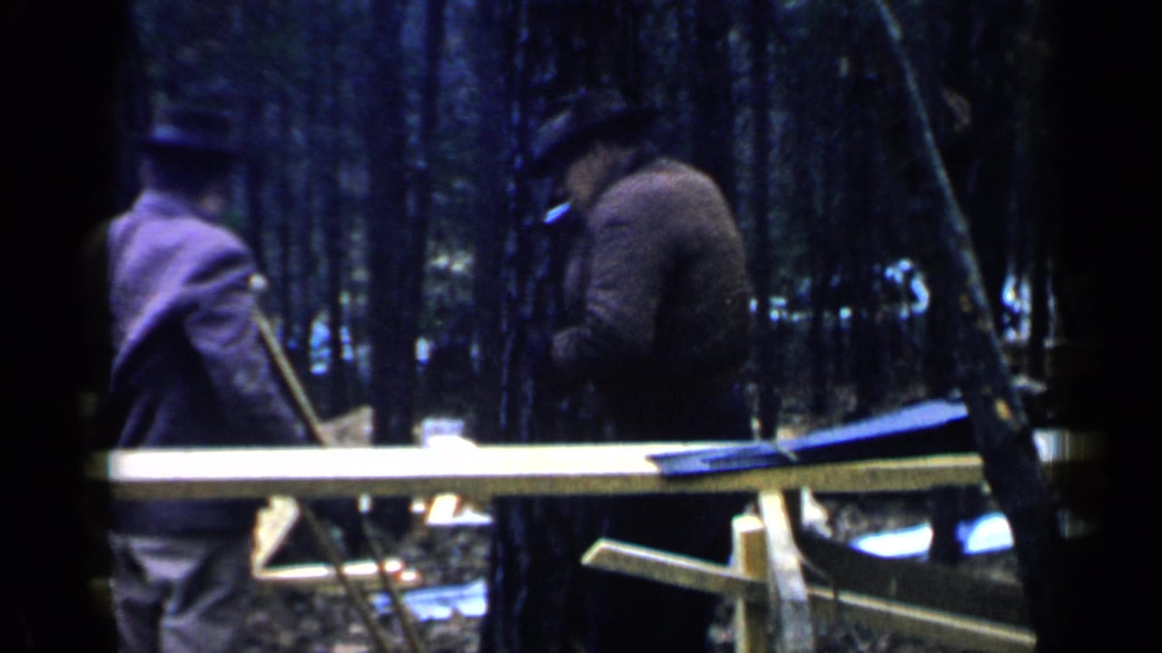 Two adults stand near wooden planks in a wooded outdoor work area.