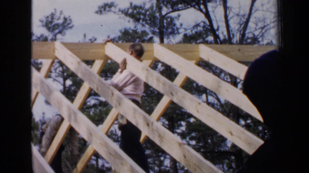 Man in a light shirt working among pale wooden roof rafters with trees behind him.