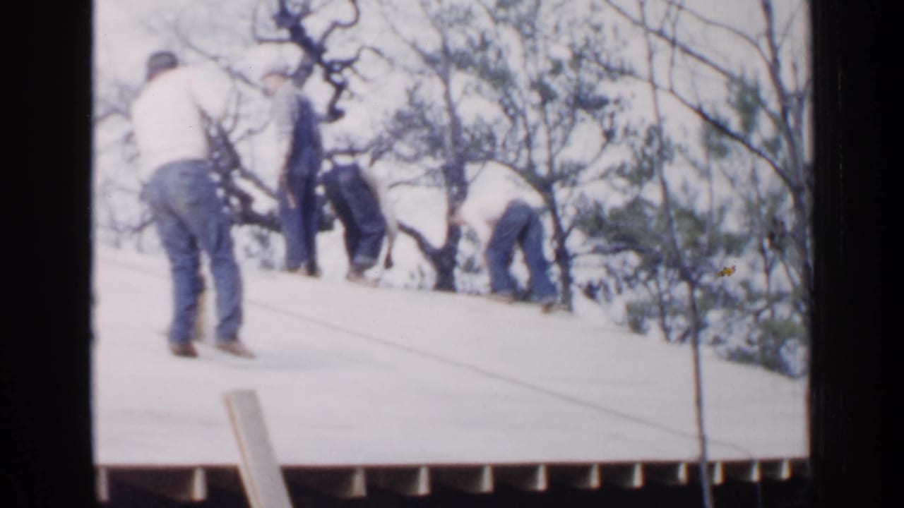 Several men sweep or bend over on a sloped roof near bare tree branches.