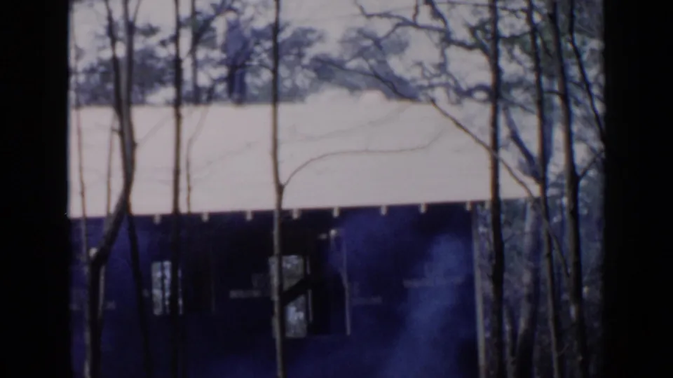 A dark-painted house exterior in Birmingham, Alabama, with a pale sloped roof and leafless trees in the foreground.