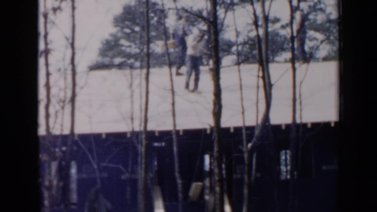 Worker standing on a pale roof behind bare trees and dark window edges.