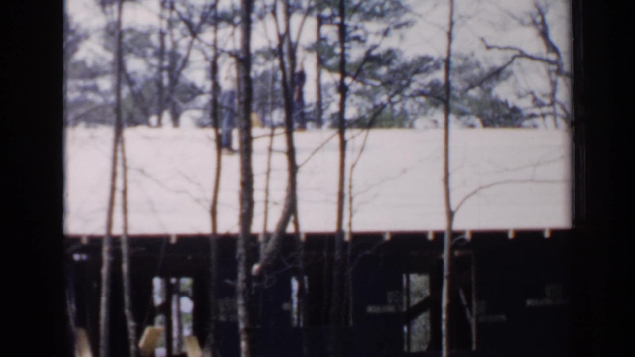 Bare trees in front of a light roofline and dark house exterior.