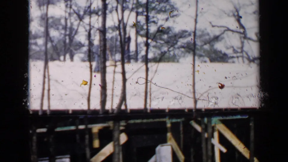 1957 Birmingham frame with bare trees, a pale roof surface, and part of the house structure beneath it.