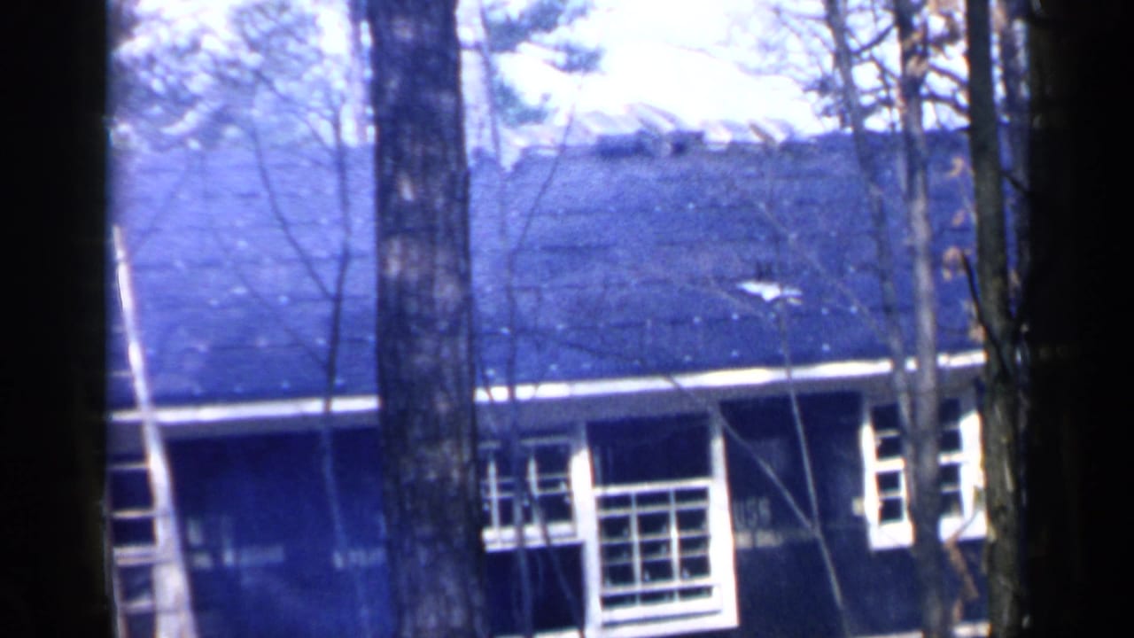 Dark house roof and windows seen through bare trees, with a ladder at the left edge.