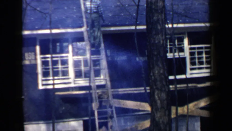 The worker nears the lower part of the ladder against the roofline, with a tree trunk and white-trimmed windows visible.