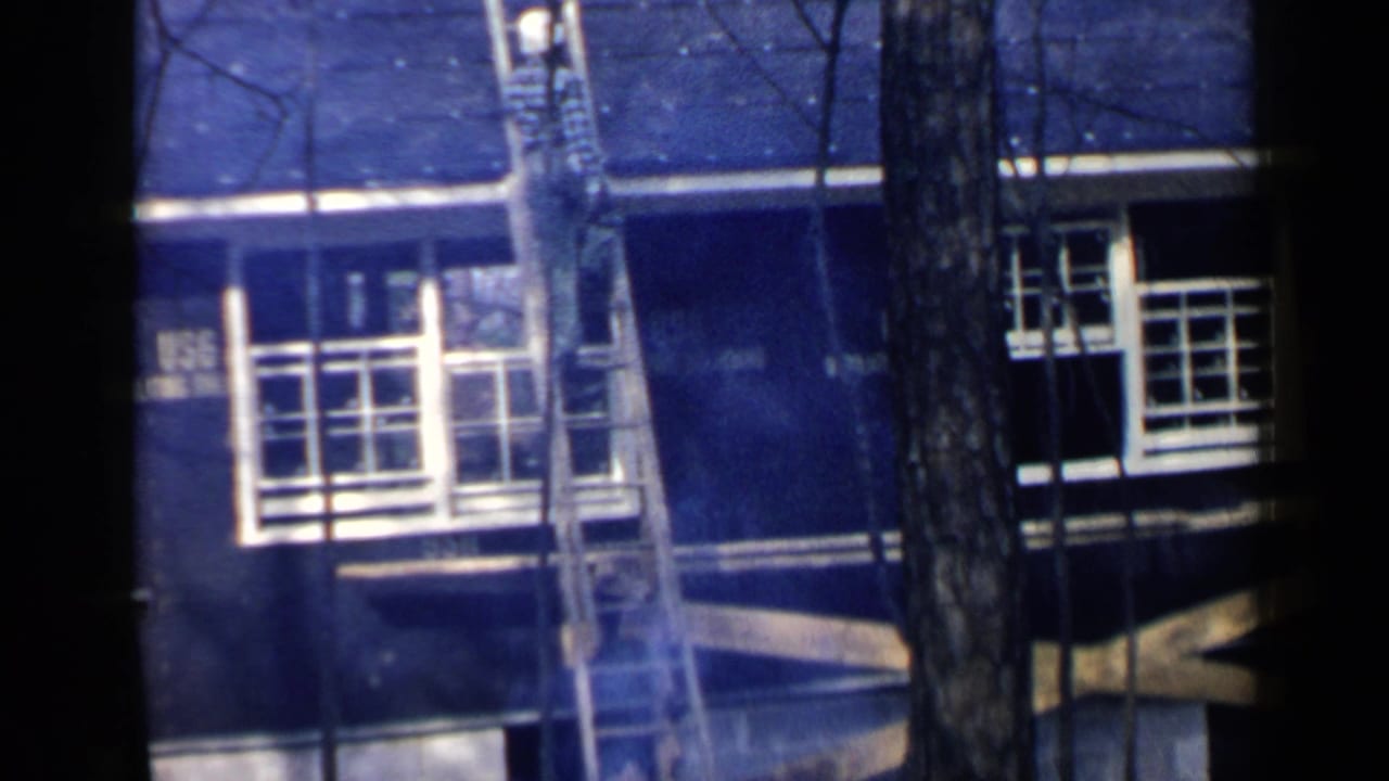 Dark house exterior with ladder, white-trimmed windows, and trees in front.