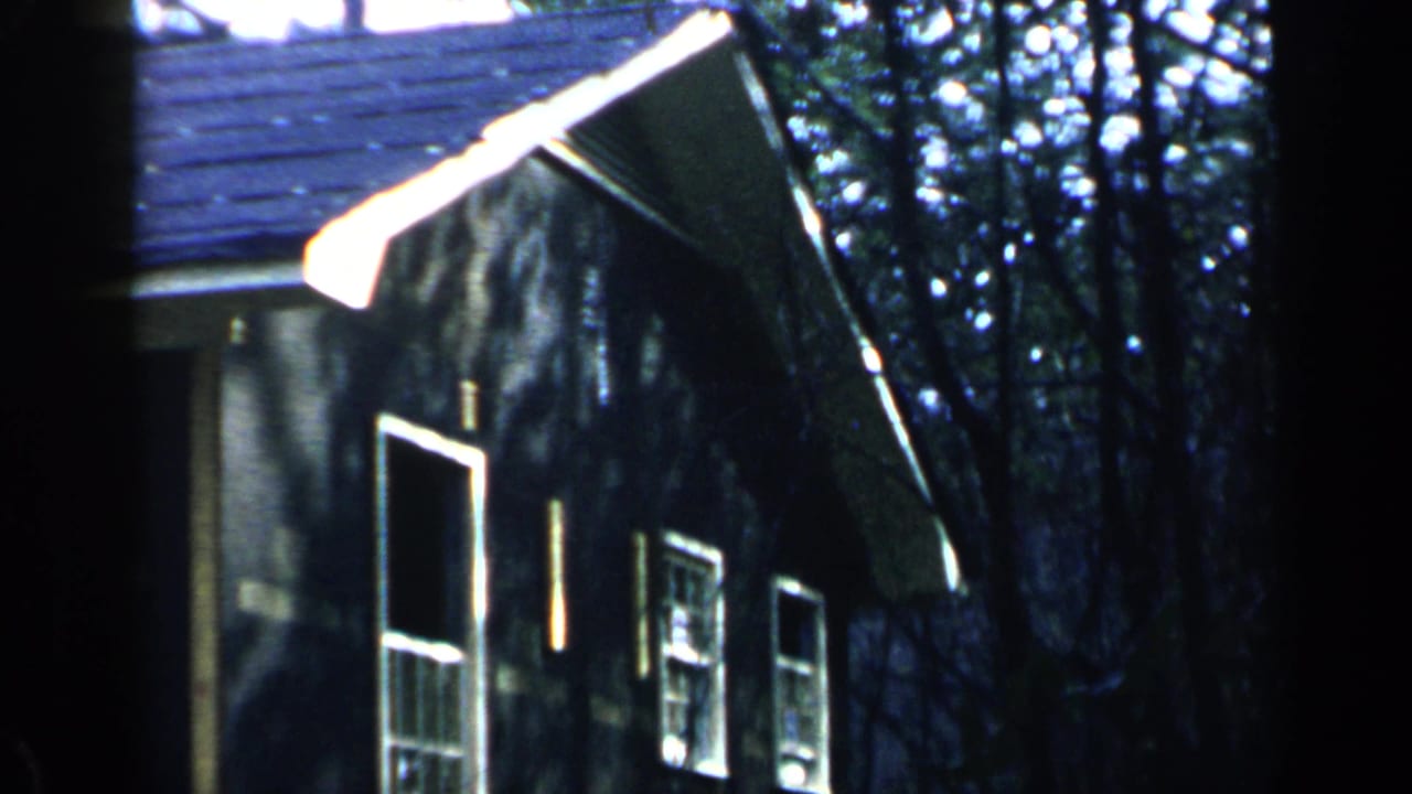Dark-sided house with windows and trees, viewed from below near the roofline.