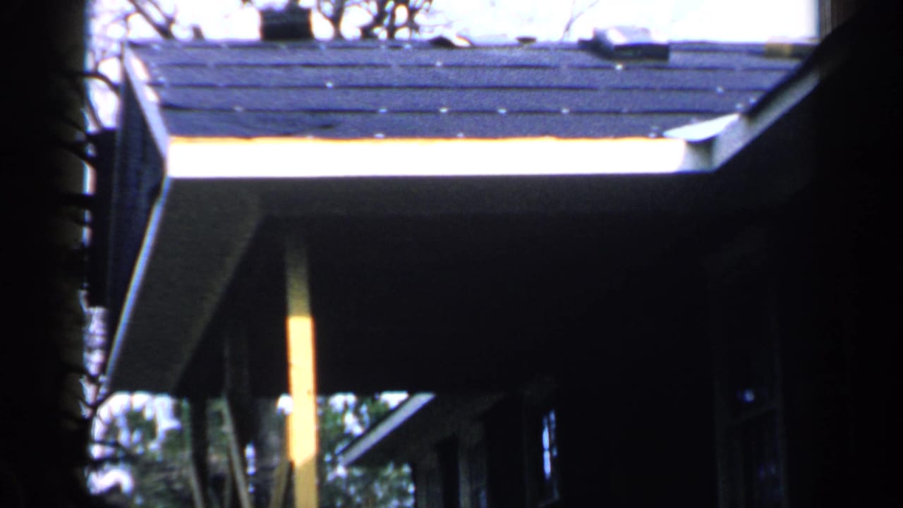 Low-angle view of a dark shingled roof, white fascia, yellow porch post, and bare branches.
