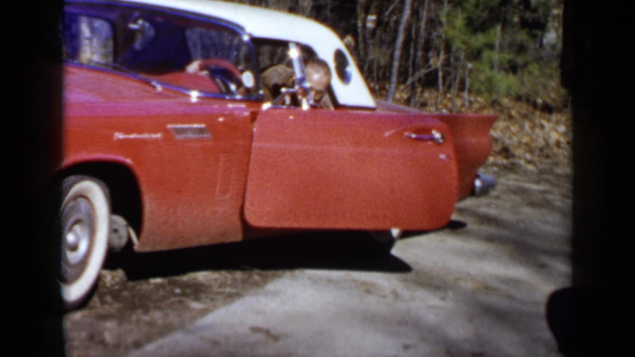 Red and white Thunderbird with the driver door open on a wooded roadside.