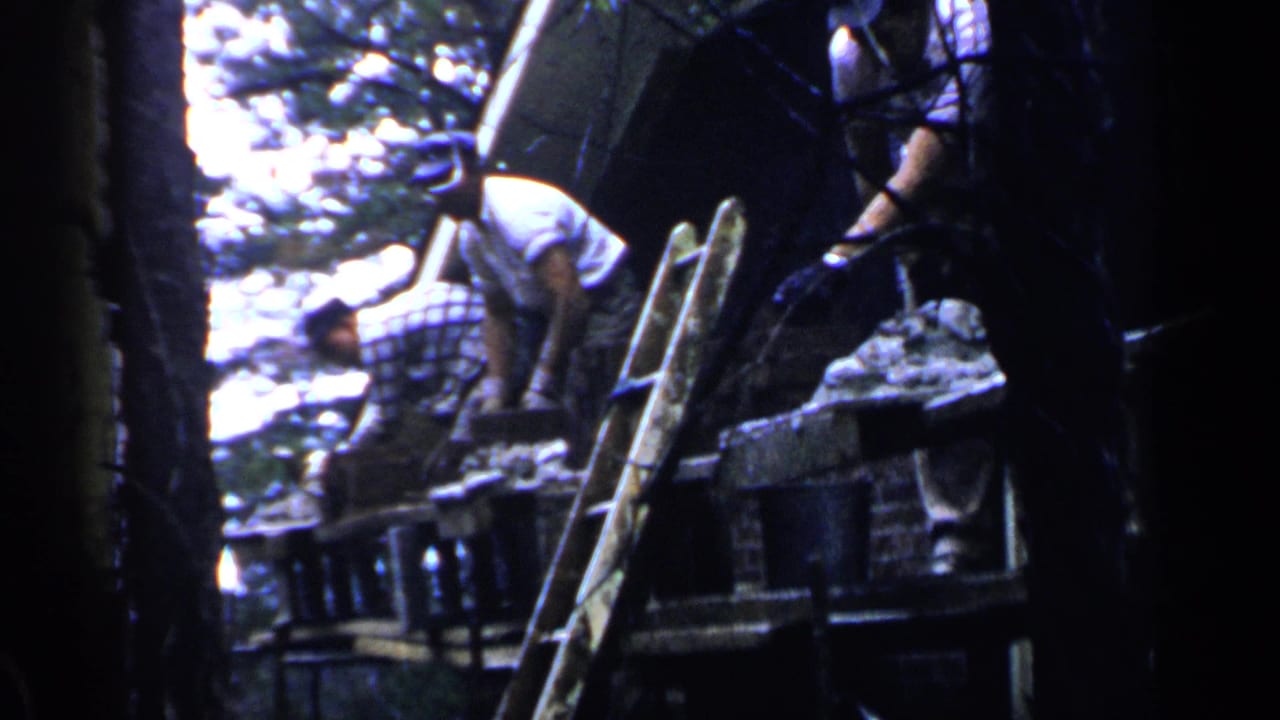 Two men work on a raised wooden structure beside a ladder, partly obscured by trees.