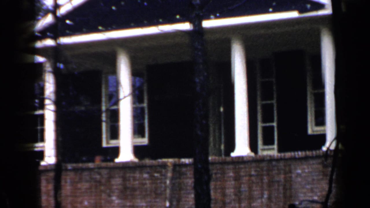 Brick house porch with white columns seen through dark tree trunks.