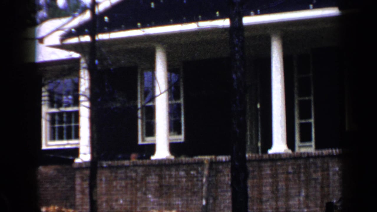 Brick house facade and porch columns partly blocked by tree trunks.
