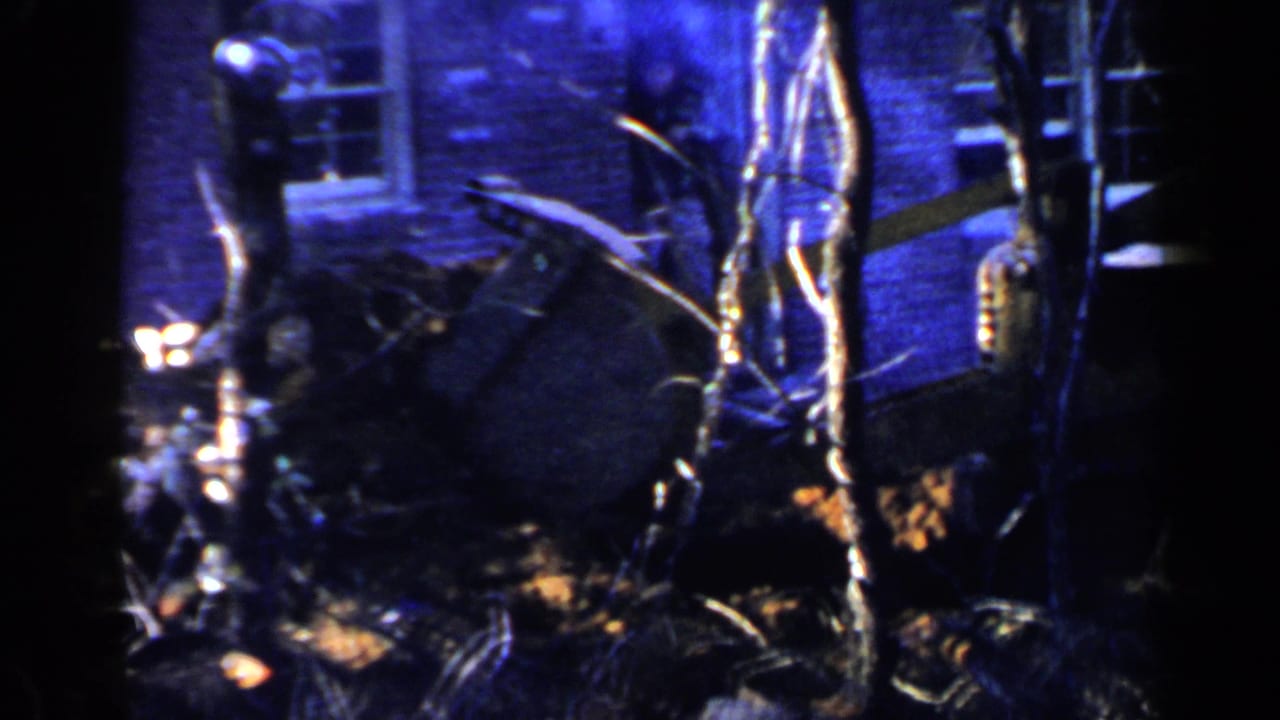Blue-tinted exterior with bare trees, dark debris, and a partially obscured structure.