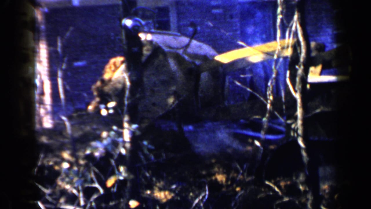 Dark blue exterior view with branches, debris, and a low wooden structure near a wall.