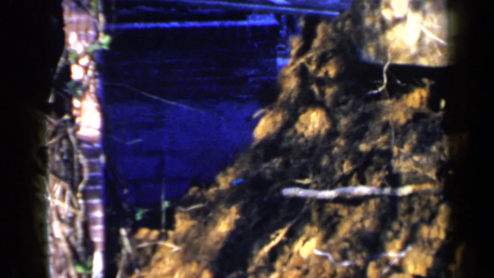 A wooded Birmingham construction scene shows a yellow bulldozer partly hidden near a mound of earth and dark tree shadows.