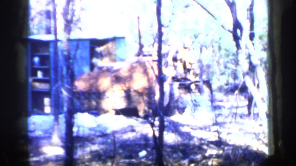 A yellow bulldozer works near a small blue-toned structure in a sunlit wooded lot in Birmingham, Alabama, in 1957.