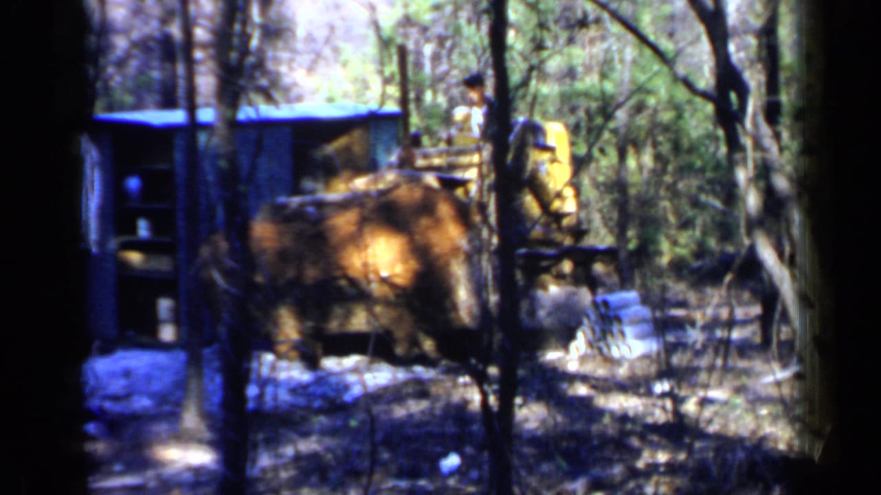 Man operating a yellow bulldozer among trees beside a small blue shed.
