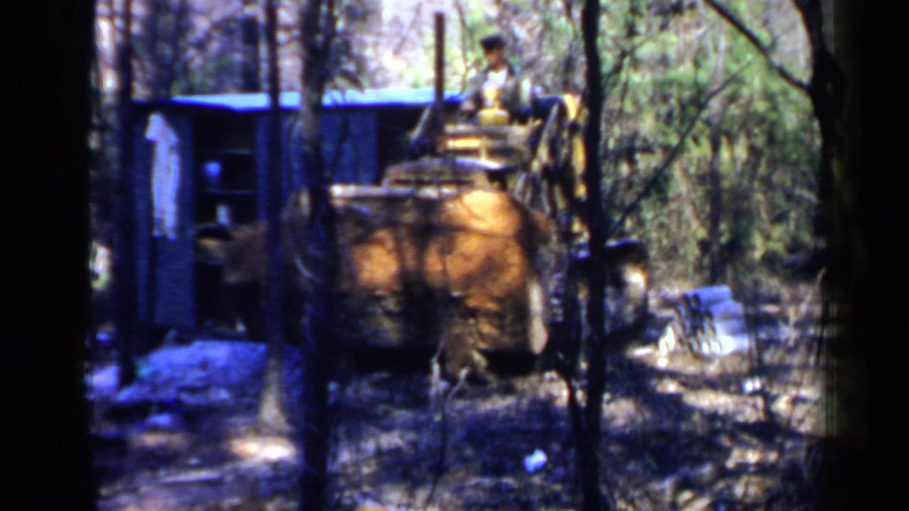 Yellow bulldozer seen through trees with operator seated above the blade area.