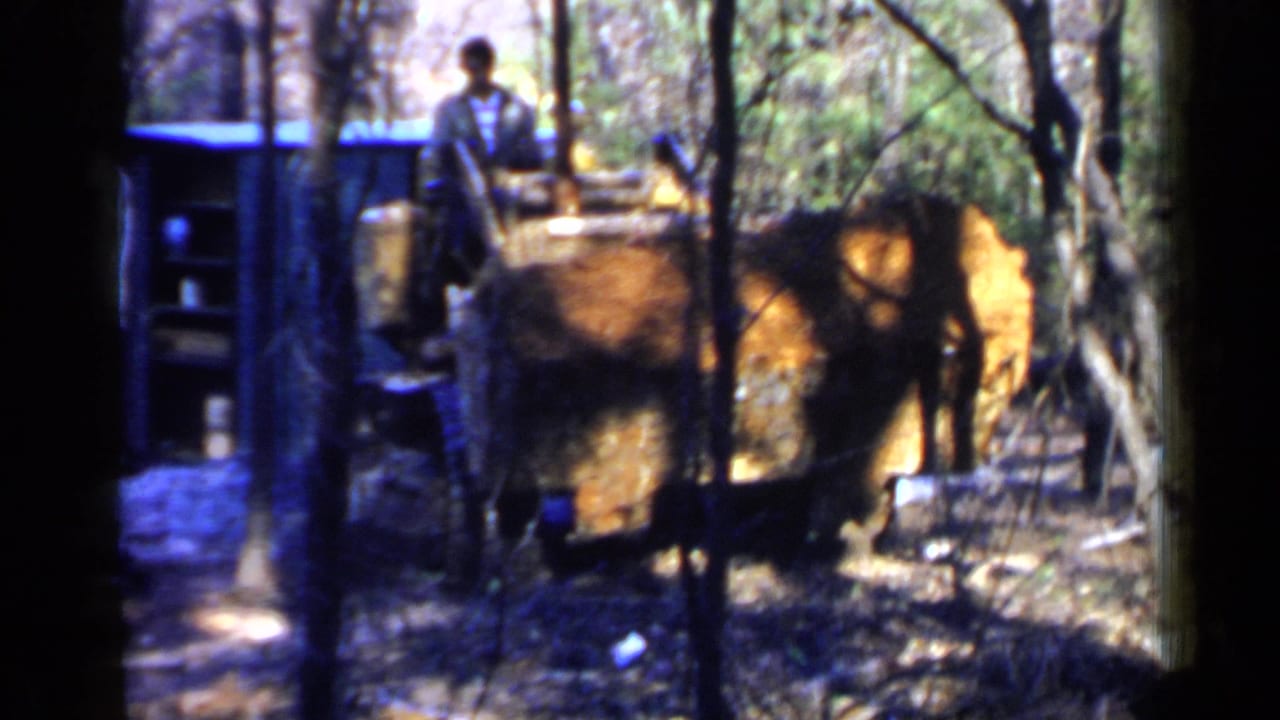 Man near a digging machine in a wooded area with trees in the foreground.