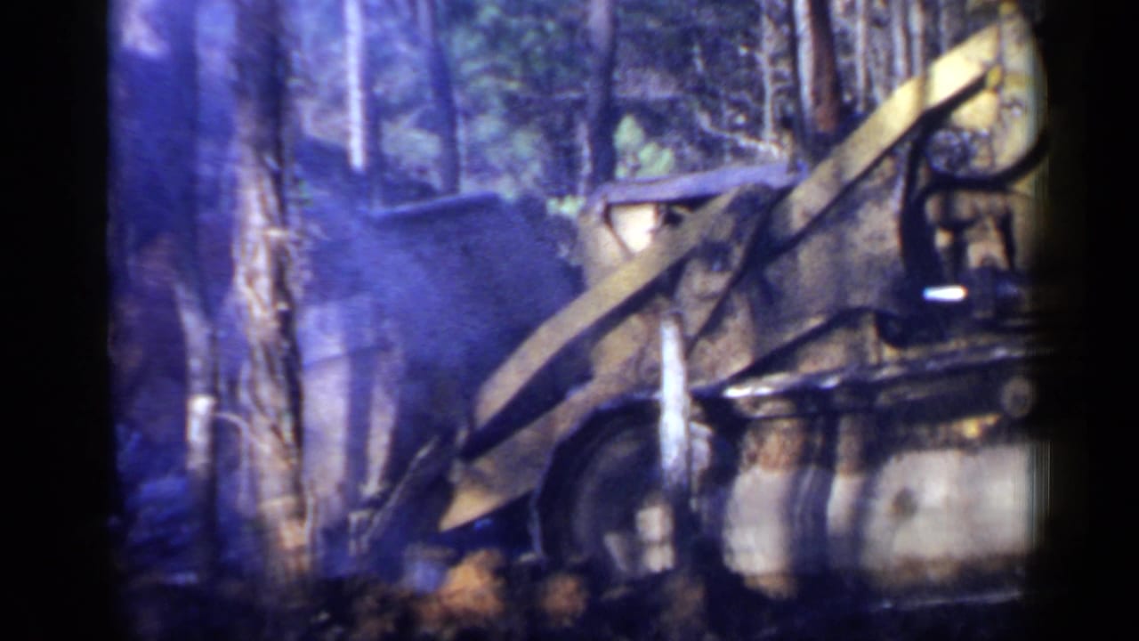 Excavator arm and bucket seen through trees in a wooded work area.