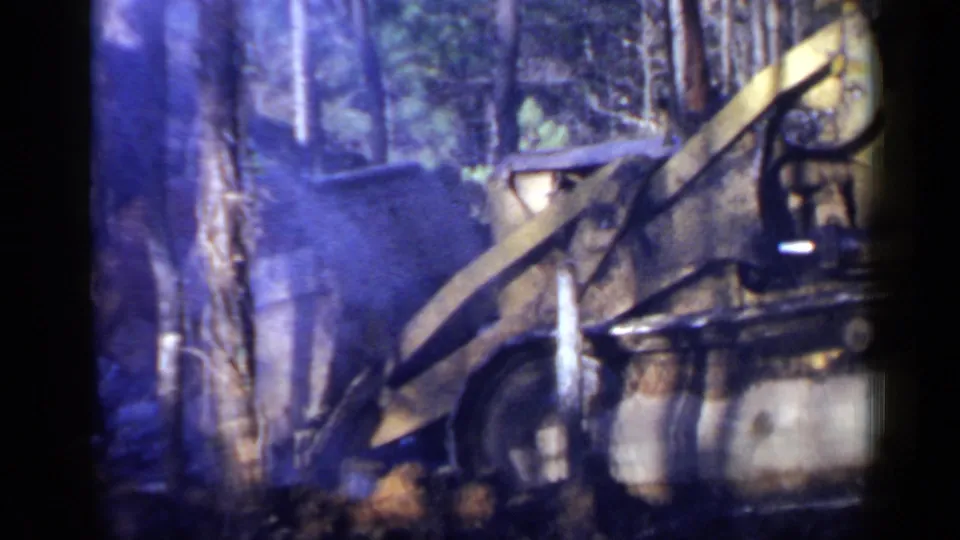 Excavator or shovel machinery appears through trees during 1957 wooded land-clearing work near Birmingham, Alabama.