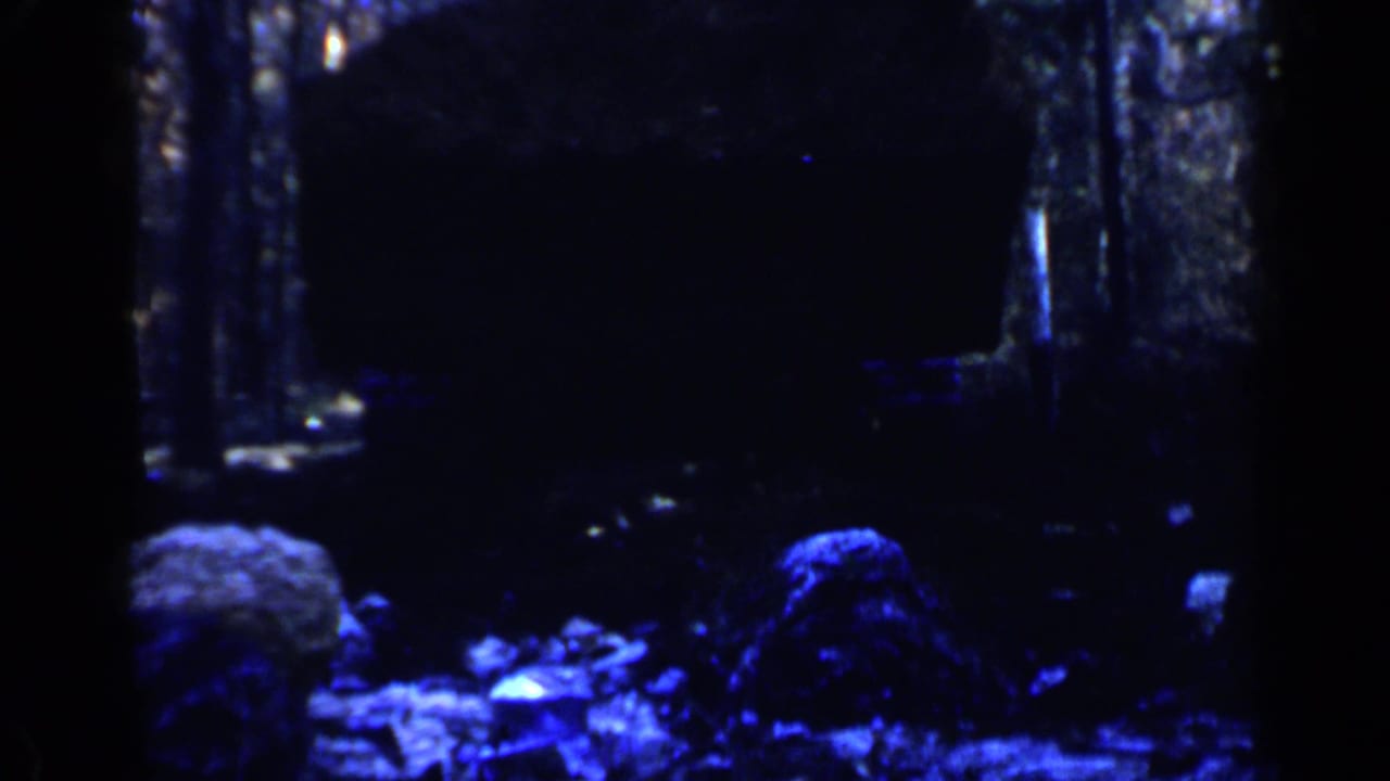 Dark wooded path with rocks and a bulldozer silhouette in blue-tinted low light.