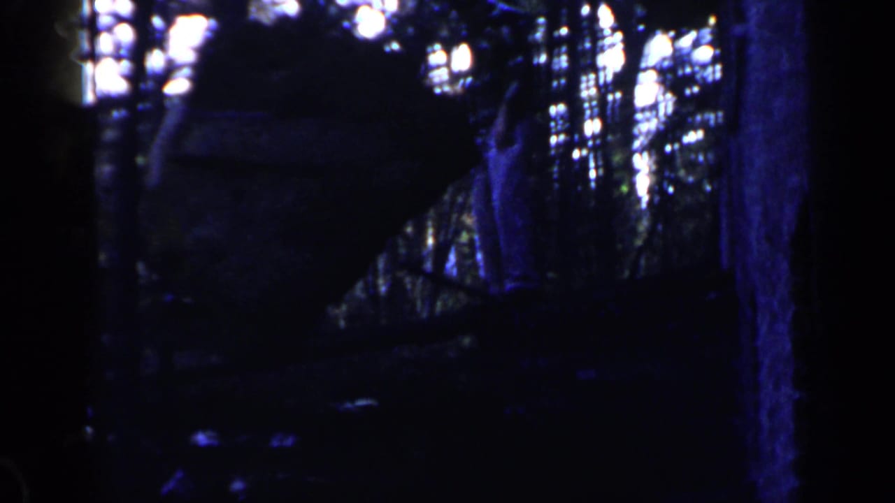 1957 Birmingham 8mm frame showing a shadowed wooded work area with a large earth pile and bright light through trees.